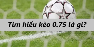 keo-chap-0,75-ok9